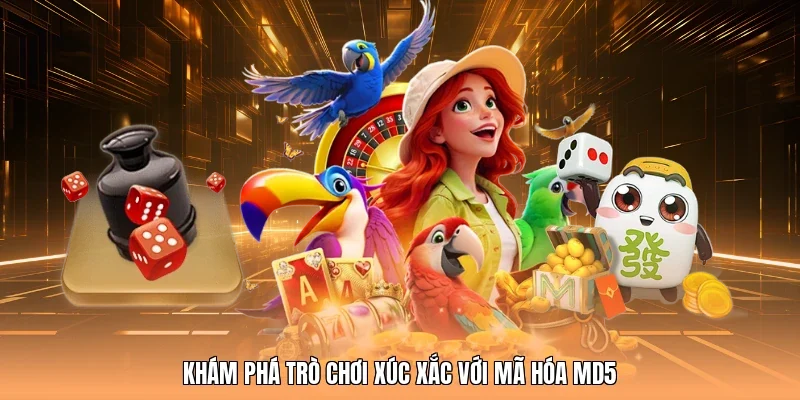 Khám phá trò chơi xúc xắc với mã hóa MD5
