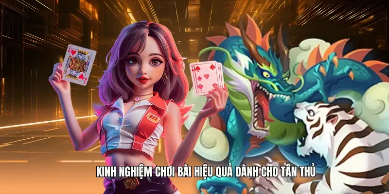 Kinh nghiệm chơi bài hiệu quả dành cho tân thủ