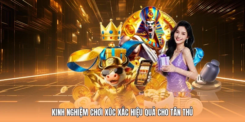 Kinh nghiệm chơi xúc xắc hiệu quả cho tân thủ